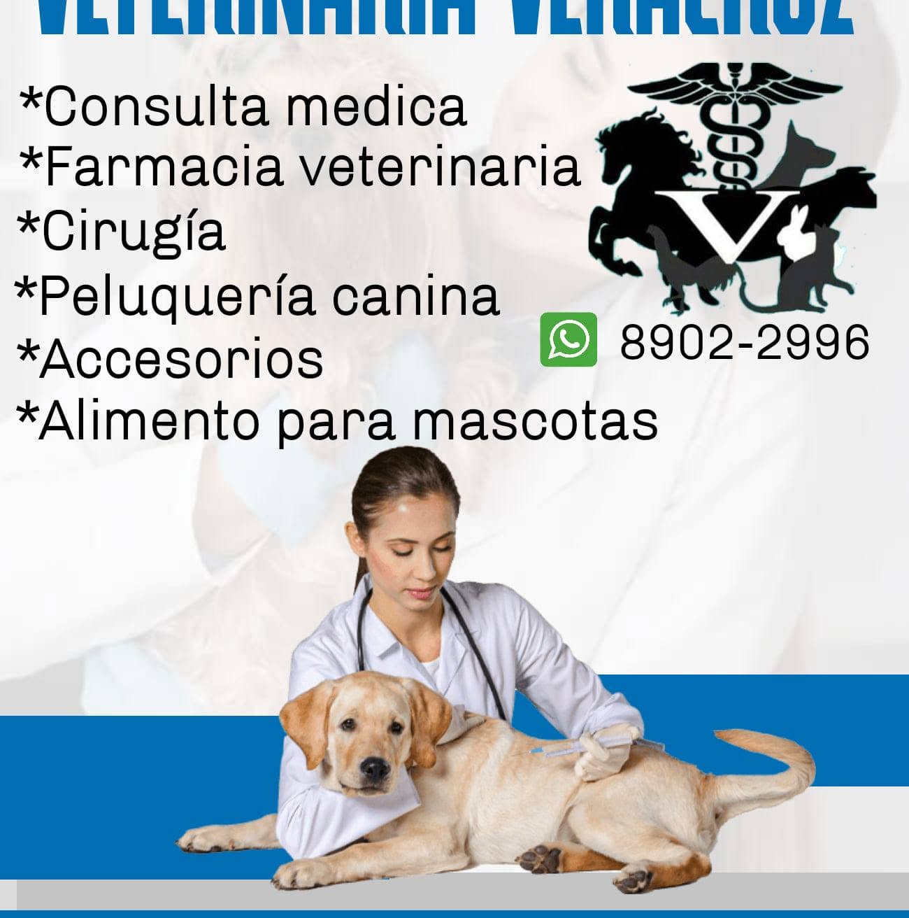 Veterinaria Veracruz