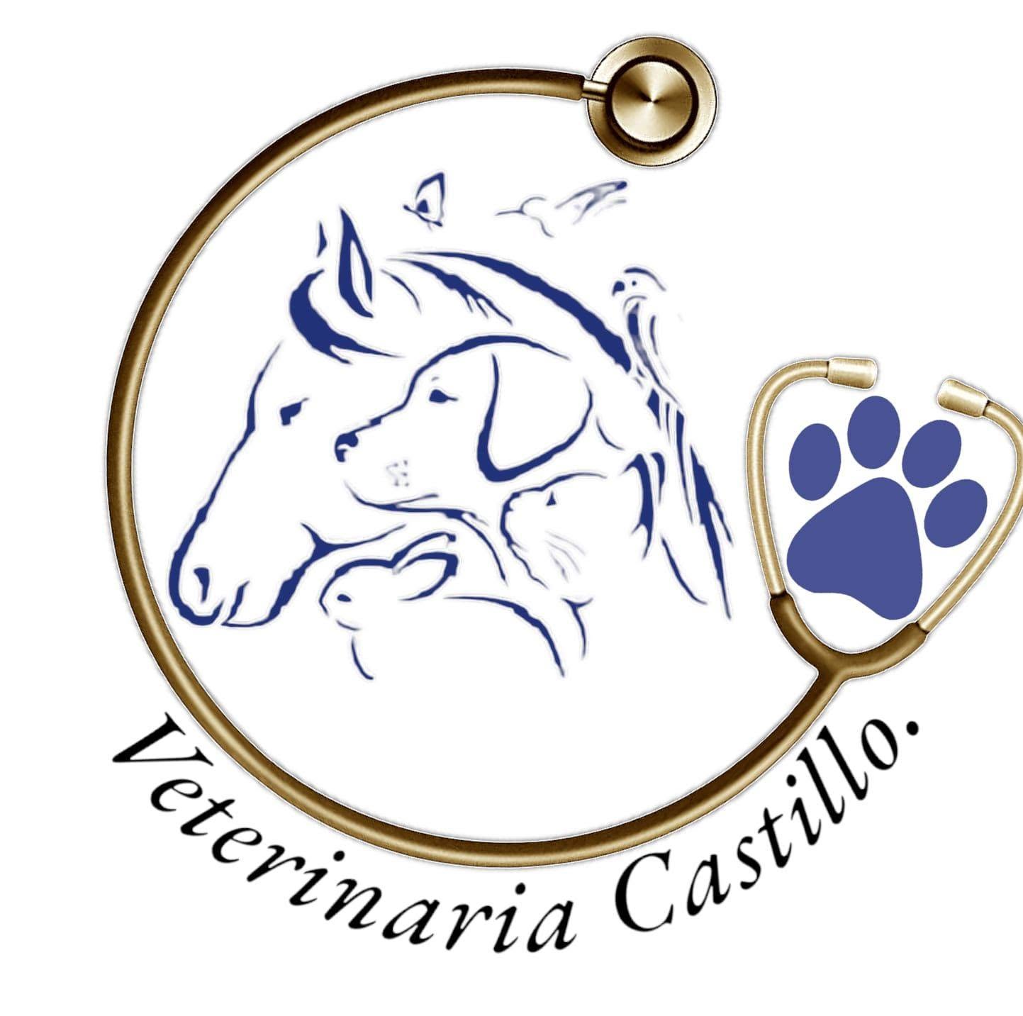 Veterinaria Castillo