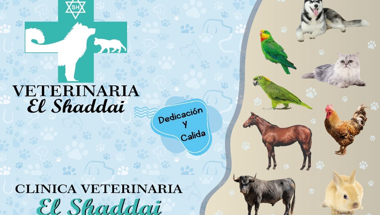 Veterinaria El Shaddai