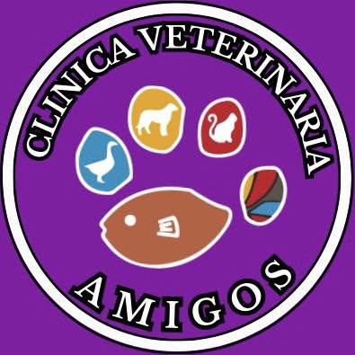 Clínica Veterinaria Amigos