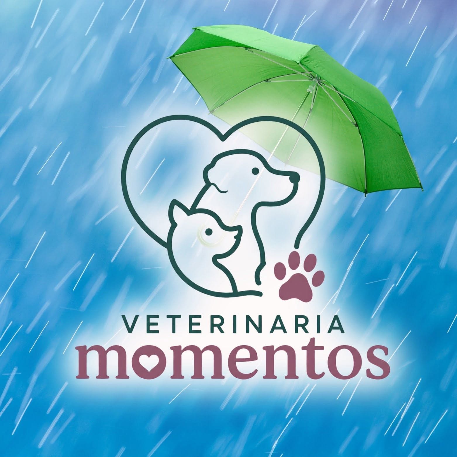 Veterinaria Momentos