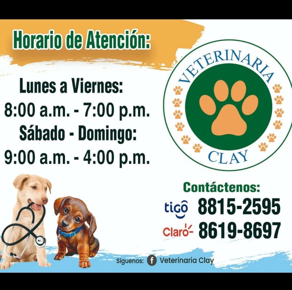 Veterinaria Clay