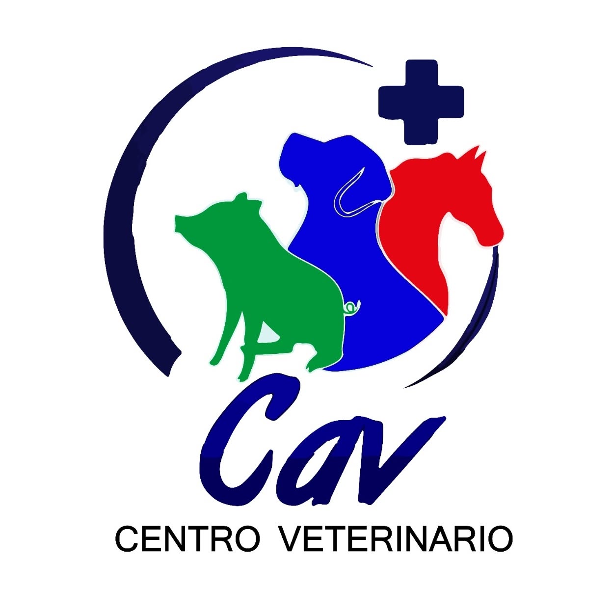 Consultorio veterinario CAV