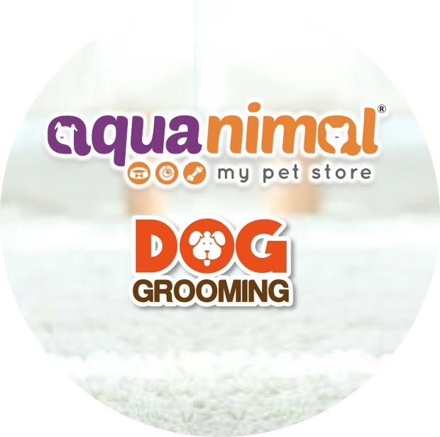 Aquanimal my pet store