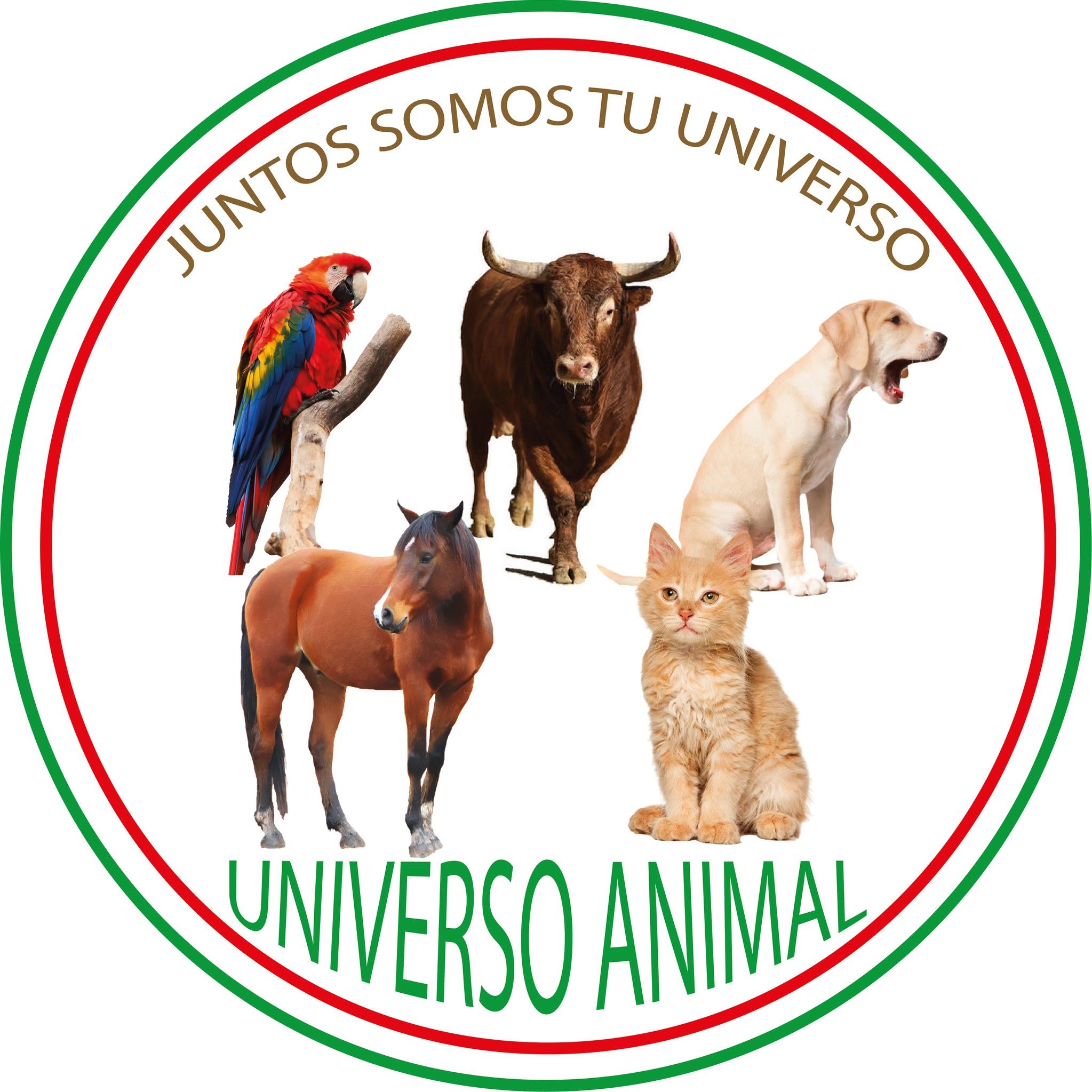 Proyecto Universo Animal Nicaragua