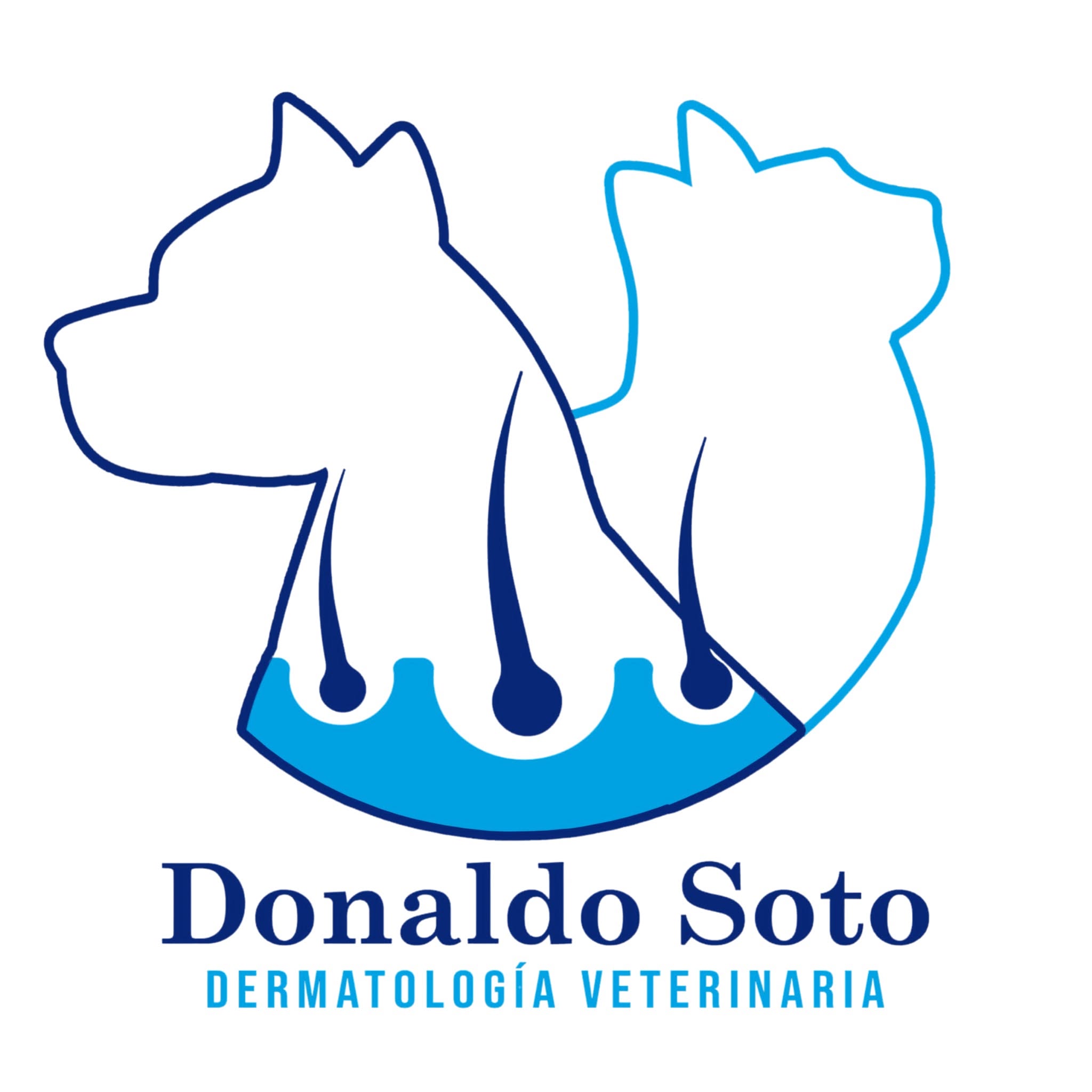 Donaldo Soto Dermatologia Vet
