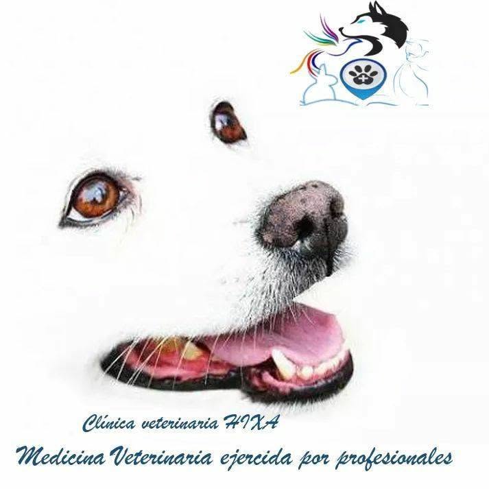 Clínica Veterinaria HIXA