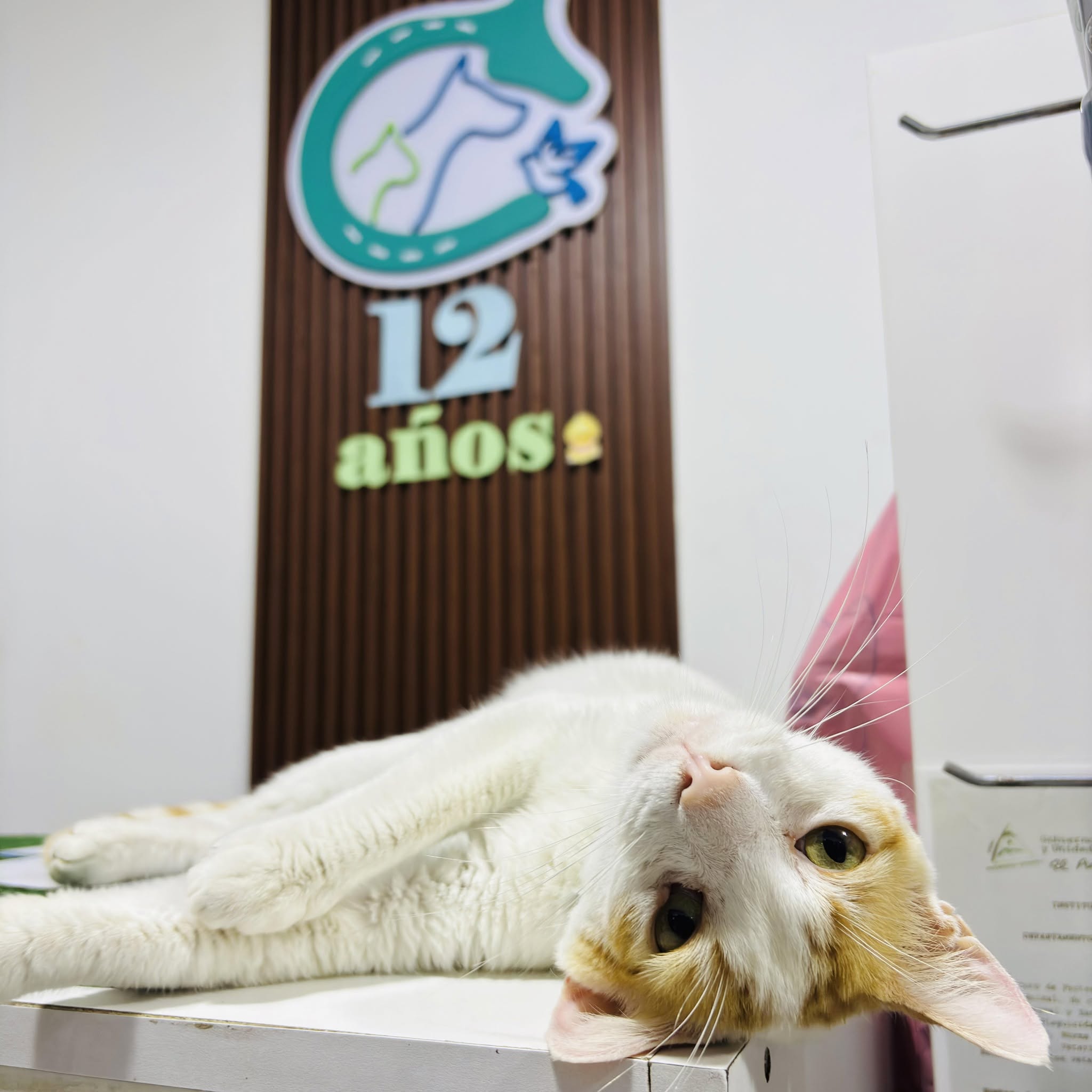 Veterinaria La Herradura Jinotega